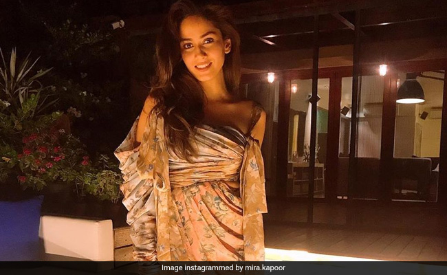 "Looking Too Young To Be A Mommy Of 2": Shahid Kapoor's Mushy Comment On Mira Rajput's Latest Post