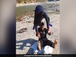 पति के कंधे पर खड़ी हुई FIR एक्ट्रेस, मुंह के बल गिरकर बोली- 'नाश्ते में ज्यादा पराठे खा लिए थे...' - देखें Video पति के कंधे पर खड़ी हुई FIR एक्ट्रेस, मुंह के बल गिरकर बोली- 'नाश्ते में ज्यादा पराठे खा लिए थे...' - देखें Video