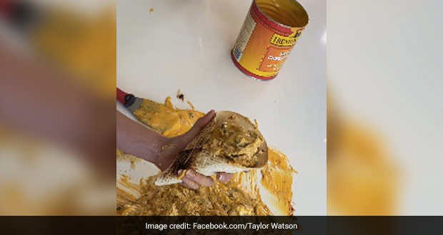 Bizarre Nacho Hack Video Went Viral And Got Strong Reactions On The Internet; Watch At Your Own Risk