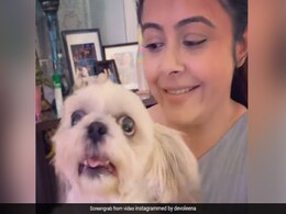 देवोलीना ने एंजल को गोद में लेकर कहा 'यहां #Pawri हो रही है', डॉगी ने गुस्से में यूं दिया रिएक्शन- देखें Video देवोलीना ने एंजल को गोद में लेकर कहा 'यहां #Pawri हो रही है', डॉगी ने गुस्से में यूं दिया रिएक्शन- देखें Video