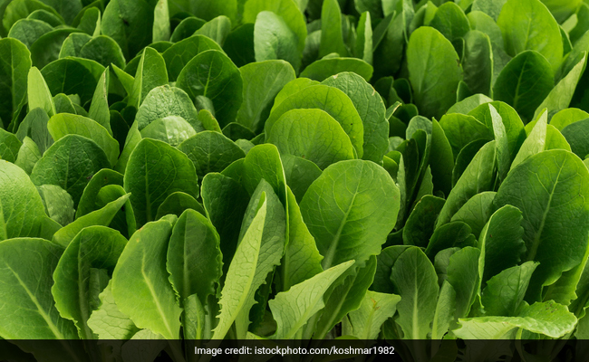 Spinach Can Now Send Information Via Email And Twitter Is In Shock