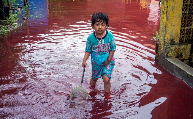 Indonesian Village Turns Red As Floods Hit Batik-Manufacturing Hub