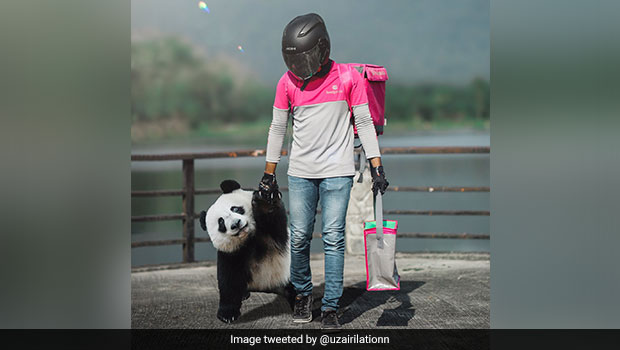 Viral Pics: Food Delivery Rider Brings Cute 'Panda' On His Last Day Of Work