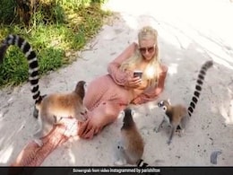 Paris Hilton Video: पेरिस हिल्टन ने कछुए और लेमूर के साथ मनाया अपना बर्थडे, देखें वीडियो Paris Hilton Video: पेरिस हिल्टन ने कछुए और लेमूर के साथ मनाया अपना बर्थडे, देखें वीडियो