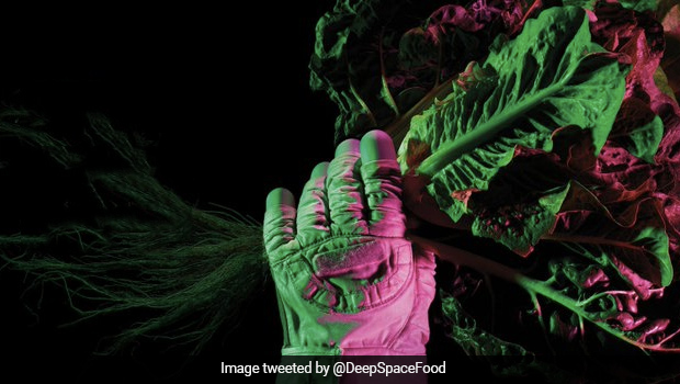 NASA's Challenge To Grow Food In Space Can Win You Up To $500,000