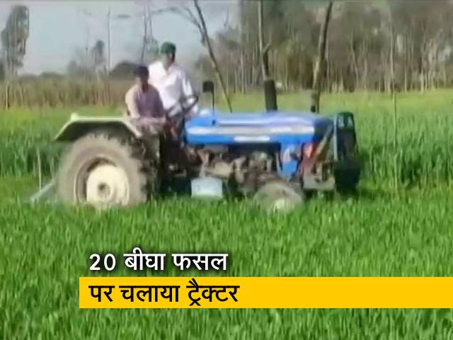 देश-प्रदेश : सहारनपुर में किसानों ने 20 बीघा फसल नष्ट की, एमपी में फिर शुरू हुई संबल योजना