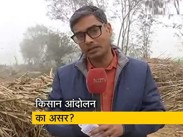 उत्तर प्रदेश में गन्ने के समर्थन मूल्य पर असमंजस