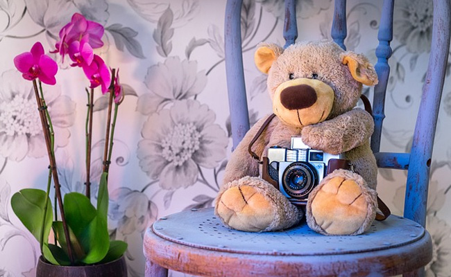 Teddy Day 2021: Quotes, Wishes, Greetings, Messages And Images For Teddy Bear Day