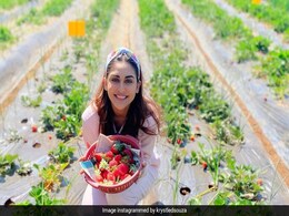 स्ट्रॉबेरी के फार्म में नजर आईं टीवी एक्ट्रेस Krystle Dsouza तो दोस्त ने की यह डिमांड- देखें Video स्ट्रॉबेरी के फार्म में नजर आईं टीवी एक्ट्रेस Krystle Dsouza तो दोस्त ने की यह डिमांड- देखें Video
