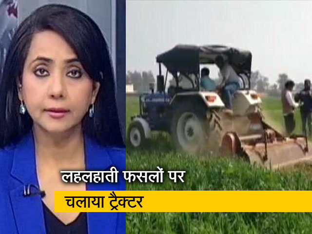 देस की बात : किसानों ने गेहूं की खड़ी फसल की नष्ट, केजरीवाल से मिले यूपी के किसान नेता