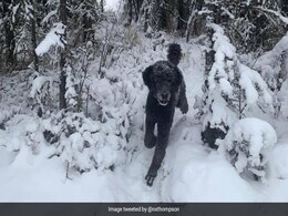 बर्फ में इंसान दौड़ रहा है या जानवर? भ्रम पैदा कर देने वाली Photo हुई इंटरनेट पर वायरल बर्फ में इंसान दौड़ रहा है या जानवर? भ्रम पैदा कर देने वाली Photo हुई इंटरनेट पर वायरल