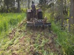 कृषि कानून के विरोध का नया तरीका - खड़ी फसल को ट्रैक्टर चलाकर नष्ट कर रहे किसान कृषि कानून के विरोध का नया तरीका - खड़ी फसल को ट्रैक्टर चलाकर नष्ट कर रहे किसान