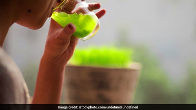 Wheatgrass may help in weight loss, says expert