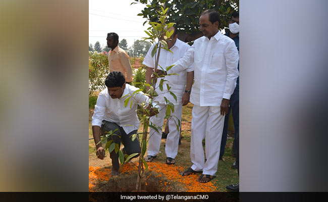 On KCR's Birthday, PM Modi, Telugu Star Mahesh Babu And Others Greet Him