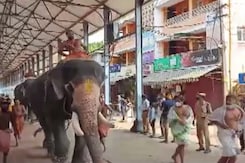 Guruvayur Temple Festival Begins In Kerala With Elephant Race Guruvayur Temple Festival Begins In Kerala With Elephant Race