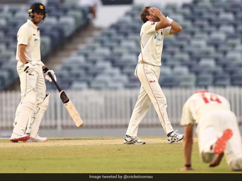Sheffield Shield: Western Australia No. 11 Survives Last Ball In A Dramatic Finish. Watch