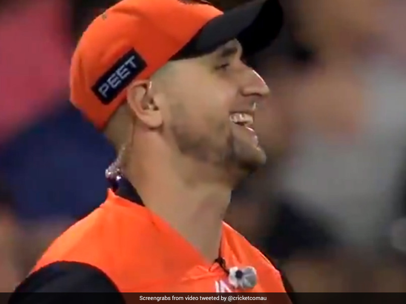 Sydney Sixers vs Perth Scorchers: Liam Livingstone Hilariously Acknowledges Sledge From SCG Crowd During BBL Final. Watch