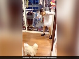 मिथुन चक्रवर्ती की बहू मदालसा शर्मा ने छोटे डॉगी संग यूं की मस्ती, क्यूट Video हुआ वायरल मिथुन चक्रवर्ती की बहू मदालसा शर्मा ने छोटे डॉगी संग यूं की मस्ती, क्यूट Video हुआ वायरल