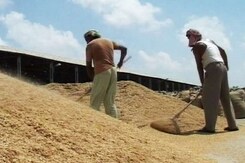 Government Committed To Welfare Of Farmers: Nirmala Sitharaman's Budget Government Committed To Welfare Of Farmers: Nirmala Sitharaman's Budget