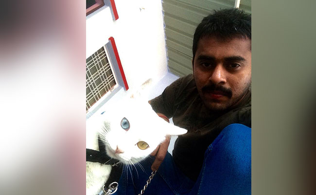 Rare Odd-Eyed Cat In High Demand After Wrestler Rescues It From Madhya Pradesh Forest