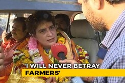 Will Priyanka Gandhi Vadra Be UP Chief Ministerial Candidate? What She Said Will Priyanka Gandhi Vadra Be UP Chief Ministerial Candidate? What She Said