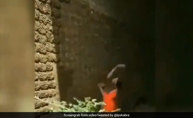 हवा में उछालकर दीवार पर उपले लगा रही थी महिला, लोग बोले- ‘बास्केटबॉल टीम को इनकी जरूरत है’ - देखें Video