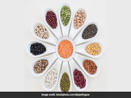High-Protein Foods: हेल्दी और फिट रहने के लिए रोज खाएं प्रोटीन से भरपूर ये फूड High-Protein Foods: हेल्दी और फिट रहने के लिए रोज खाएं प्रोटीन से भरपूर ये फूड