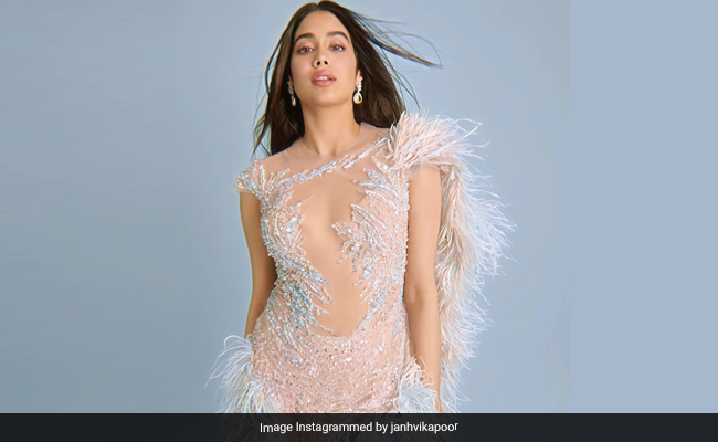 Janhvi Kapoor Is A Sight To Behold In This Gorgeous Sheer Feather Dress