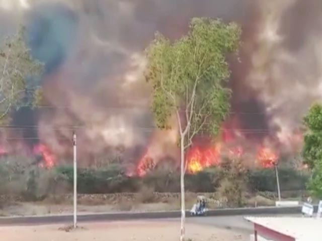 राजस्थान: डूंगरपुर के जंगलों में लगी भीषण आग