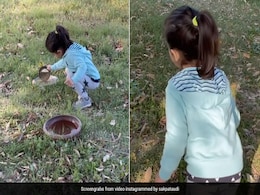 इनाया खेमू मोर को खाने के लिए क्यूट अंदाज में बुलाती दिखीं, मम्मी सोहा अली खान ने शेयर किया Video इनाया खेमू मोर को खाने के लिए क्यूट अंदाज में बुलाती दिखीं, मम्मी सोहा अली खान ने शेयर किया Video