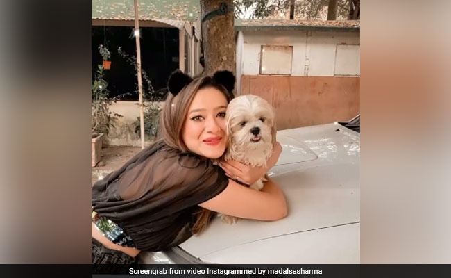 Mithun Chakraborty की बहू मदालसा शर्मा ने 'यू आर माय सोनिया' सॉन्ग पर यूं दिए एक्सप्रेशन, वायरल हुआ Video