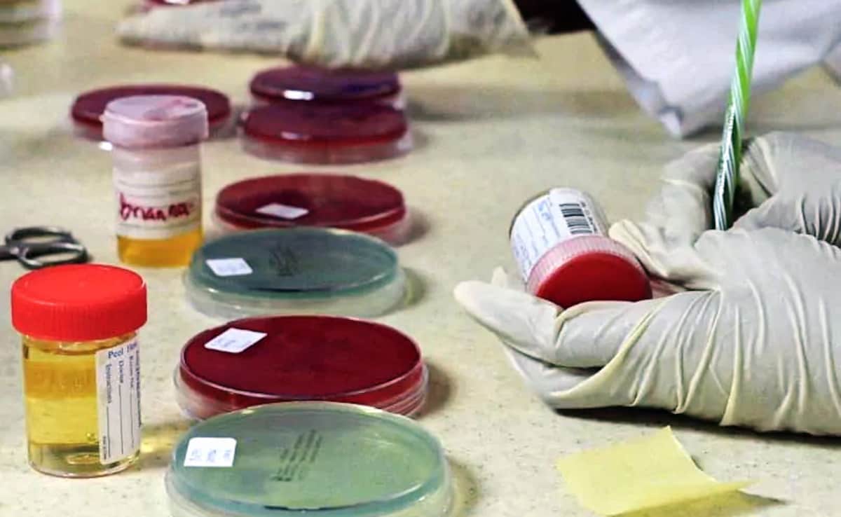 India Extremely High Doping Risk: Athletics Integrity Unit