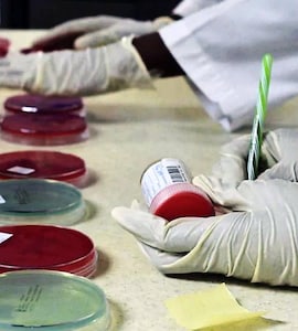 India Extremely High Doping Risk: Athletics Integrity Unit