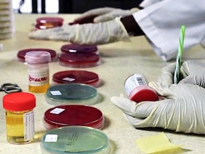 India Extremely High Doping Risk: Athletics Integrity Unit