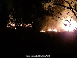 Odisha Chief Minister Reviews Similipal Forest Fire, Says No Damage To Big Trees Odisha Chief Minister Reviews Similipal Forest Fire, Says No Damage To Big Trees
