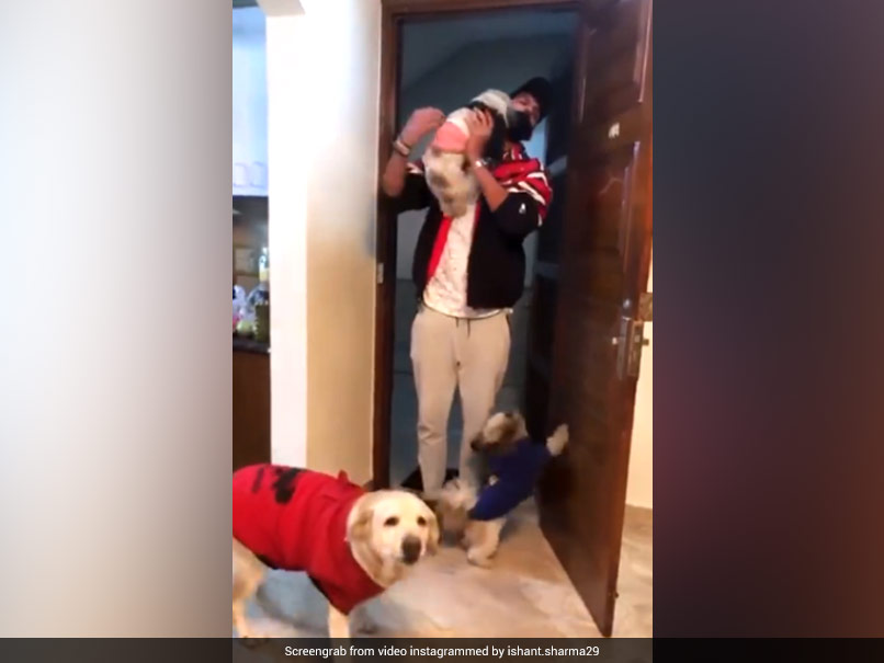 Watch: Ishant Sharma Gets Warm Welcome From Pet Dogs As He Reaches Home After Test Series Triumph Over England