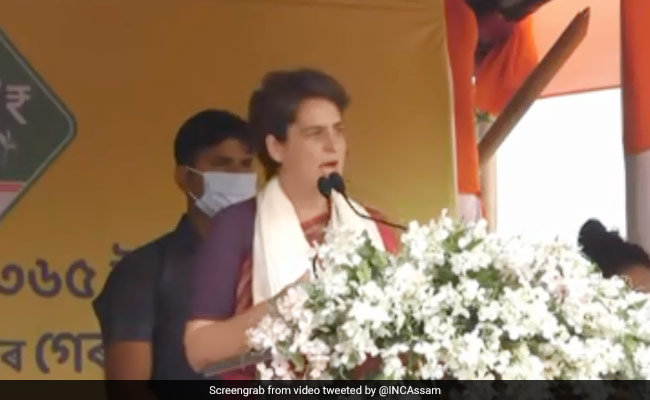 In Assam, Priyanka Gandhi Says BJP "Threat To State's Language And Culture" In Assam, Priyanka Gandhi Says BJP "Threat To State's Language And Culture"