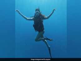 We Found Dory - Mermaid Esha Gupta Is Making The Maldives Look So Good We Found Dory - Mermaid Esha Gupta Is Making The Maldives Look So Good