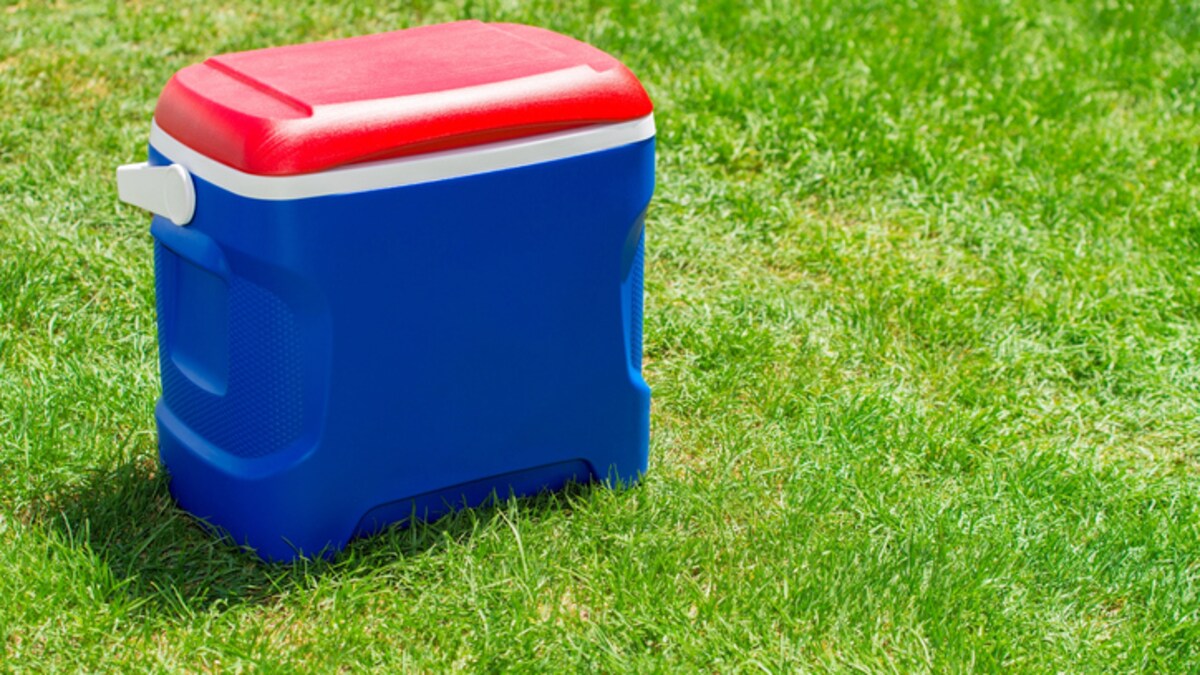 4 Ice Box Options That Are Handy And Perfect To Store Juices, Sausages