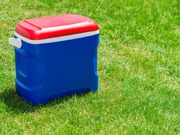 4 Ice Box Options That Are Handy And Perfect To Store Juices, Sausages And More