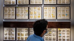 Kalyan Jewellers Extends Rally For Sixth Straight Session; Stock Surges Over 53% &mdash; Here's Why