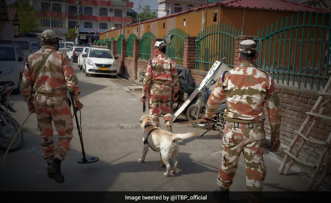 In A first, ITBP Deploys Retired Combat Canines As Therapy Dogs