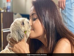 Devoleena Bhattacharjee ने Puppy के साथ शेयर की क्यूट सी फोटो, बोलीं-  माई बेबी Devoleena Bhattacharjee ने Puppy के साथ शेयर की क्यूट सी फोटो, बोलीं-  माई बेबी