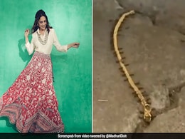 माधुरी दीक्षित ने अब तक की सबसे बड़ी सोने की लूट  का Video किया शेयर,  देखकर आप भी हो जाएंगे हैरान माधुरी दीक्षित ने अब तक की सबसे बड़ी सोने की लूट  का Video किया शेयर,  देखकर आप भी हो जाएंगे हैरान