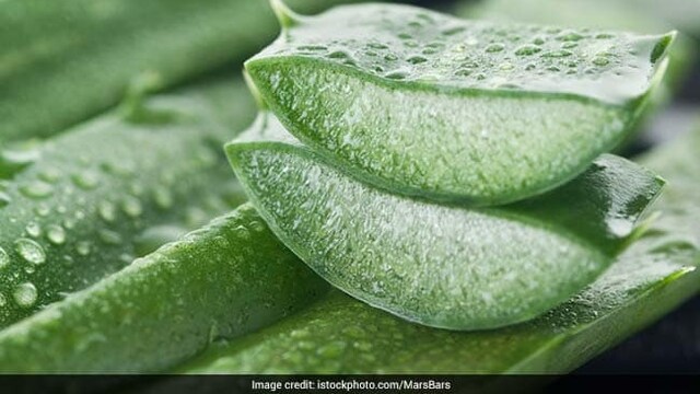 our stressed skin needs relief and aloe vera nourishes, refreshes, and rejuvenates