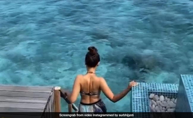 Surbhi Jyoti छुट्टियां बिताने पहुंची मालदीव, स्विमिंग के लिए समुद्र में उतरती आईं नजर- देखें Video