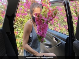 मलाइका अरोड़ा ने चोरी किए फूल, फोटो हुई वायरल तो बोलीं- वसंत आ गया है... मलाइका अरोड़ा ने चोरी किए फूल, फोटो हुई वायरल तो बोलीं- वसंत आ गया है...