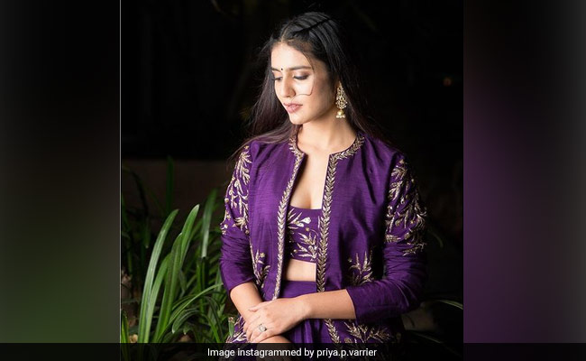 प्रिया प्रकाश वारियर ने शेयर किया लेटेस्ट फोटोशूट, ग्लैमरस अंदाज में आईं नजर- देखें Photo