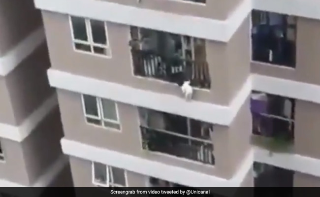 12वीं मंजिल से गिरी बच्ची, तो 'सुपरमैन' बनकर Delivery Boy ने ऐसे बचाई जान - देखें Viral Video