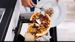 Halving Food Waste Can Reduce Hunger For 153 Million People Globally: Report